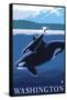 Orca and Calf - Washington-Lantern Press-Framed Stretched Canvas