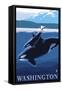 Orca and Calf - Washington-Lantern Press-Framed Stretched Canvas