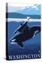 Orca and Calf - Washington-Lantern Press-Stretched Canvas