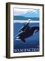 Orca and Calf - Washington-Lantern Press-Framed Art Print