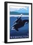 Orca and Calf - Washington-Lantern Press-Framed Art Print