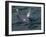 Orca, Frederick Sound, Alaska, USA-Joe & Mary Ann McDonald-Framed Premium Photographic Print