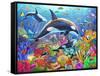 Orca Fun-Adrian Chesterman-Framed Stretched Canvas