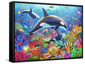 Orca Fun-Adrian Chesterman-Framed Stretched Canvas