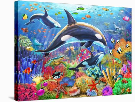 Orca Fun-Adrian Chesterman-Stretched Canvas