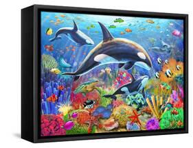 Orca Fun-Adrian Chesterman-Framed Stretched Canvas