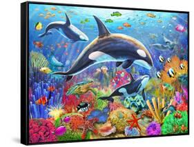 Orca Fun-Adrian Chesterman-Framed Stretched Canvas