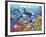 Orca Fun-Adrian Chesterman-Framed Art Print