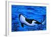 Orca Killer Whale Underwater-Megan Aroon Duncanson-Framed Art Print
