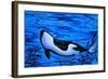 Orca Killer Whale Underwater-Megan Aroon Duncanson-Framed Art Print