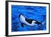 Orca Killer Whale Underwater-Megan Aroon Duncanson-Framed Art Print