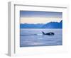 Orca or Killer Whale in Frederick Sound-Paul Souders-Framed Photographic Print