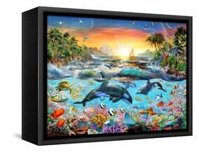 Orca Paradise-Adrian Chesterman-Framed Stretched Canvas