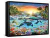 Orca Paradise-Adrian Chesterman-Framed Stretched Canvas