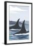 Orca Whale Fins-Lantern Press-Framed Art Print