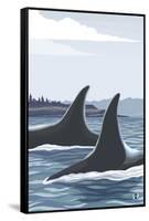 Orca Whale Fins-Lantern Press-Framed Stretched Canvas