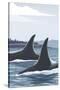 Orca Whale Fins-Lantern Press-Stretched Canvas