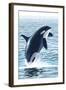 Orca Whale Jumping-Lantern Press-Framed Art Print