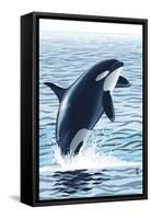 Orca Whale Jumping-Lantern Press-Framed Stretched Canvas