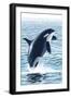 Orca Whale Jumping-Lantern Press-Framed Art Print