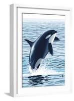 Orca Whale Jumping-Lantern Press-Framed Art Print