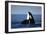 Orca Whale Spy Hopping-null-Framed Photographic Print