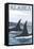 Orca Whales No.1, Alaska-Lantern Press-Framed Stretched Canvas