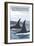 Orca Whales No.1, Bainbridge Island, Washington-Lantern Press-Framed Art Print