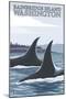 Orca Whales No.1, Bainbridge Island, Washington-Lantern Press-Mounted Art Print