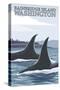 Orca Whales No.1, Bainbridge Island, Washington-Lantern Press-Stretched Canvas