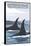 Orca Whales No.1, Bainbridge Island, Washington-Lantern Press-Framed Stretched Canvas