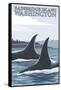 Orca Whales No.1, Bainbridge Island, Washington-Lantern Press-Framed Stretched Canvas