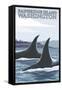 Orca Whales No.1, Bainbridge Island, Washington-Lantern Press-Framed Stretched Canvas