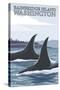 Orca Whales No.1, Bainbridge Island, Washington-Lantern Press-Stretched Canvas