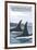 Orca Whales No.1, Bainbridge Island, Washington-Lantern Press-Framed Art Print