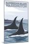 Orca Whales No.1, Bainbridge Island, Washington-Lantern Press-Mounted Art Print