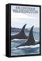 Orca Whales No.1, Bellingham, Washington-Lantern Press-Framed Stretched Canvas