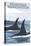 Orca Whales No.1, Bellingham, Washington-Lantern Press-Stretched Canvas