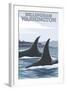 Orca Whales No.1, Bellingham, Washington-Lantern Press-Framed Art Print