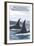 Orca Whales No.1, Bellingham, Washington-Lantern Press-Framed Art Print