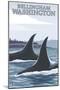 Orca Whales No.1, Bellingham, Washington-Lantern Press-Mounted Art Print