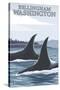 Orca Whales No.1, Bellingham, Washington-Lantern Press-Stretched Canvas