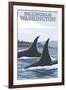 Orca Whales No.1, Bellingham, Washington-Lantern Press-Framed Art Print