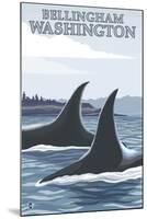 Orca Whales No.1, Bellingham, Washington-Lantern Press-Mounted Art Print