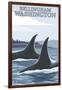 Orca Whales No.1, Bellingham, Washington-Lantern Press-Framed Art Print