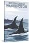 Orca Whales No.1, Bellingham, Washington-Lantern Press-Stretched Canvas