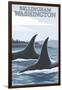 Orca Whales No.1, Bellingham, Washington-Lantern Press-Framed Premium Giclee Print