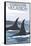 Orca Whales No.1, Cordova, Alaska-Lantern Press-Framed Stretched Canvas