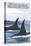 Orca Whales No.1, Friday Harbor, Washington-Lantern Press-Stretched Canvas