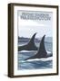 Orca Whales No.1, Friday Harbor, Washington-Lantern Press-Framed Art Print